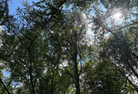 起業のきっかけ