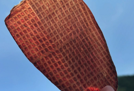 薄く、やさしく、食べやすく