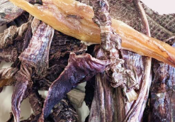 完全無添加 鹿かみかみジャーキー